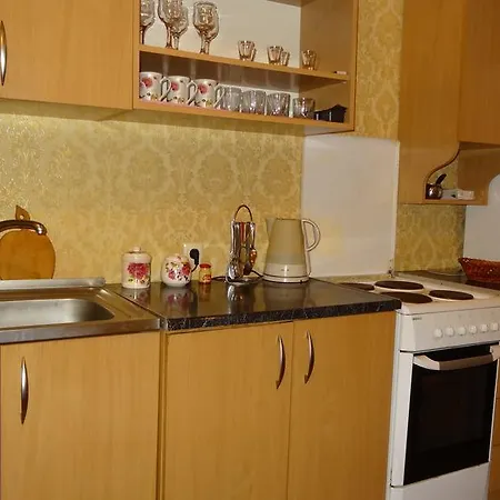 Apartment Grecheskaya 45/40
