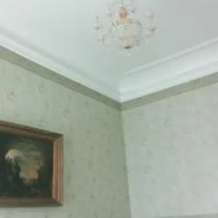 Grecheskaya 45/40